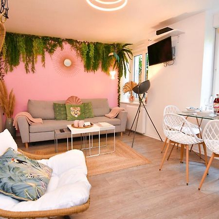 Le Nid Cosy - En Plein Coeur De Selestat Apartment Екстериор снимка