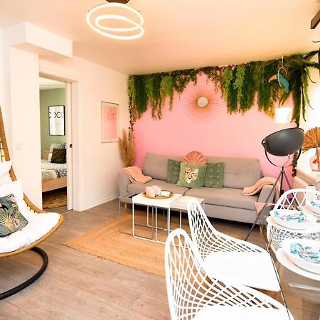 Le Nid Cosy - En Plein Coeur De Selestat Apartment Екстериор снимка