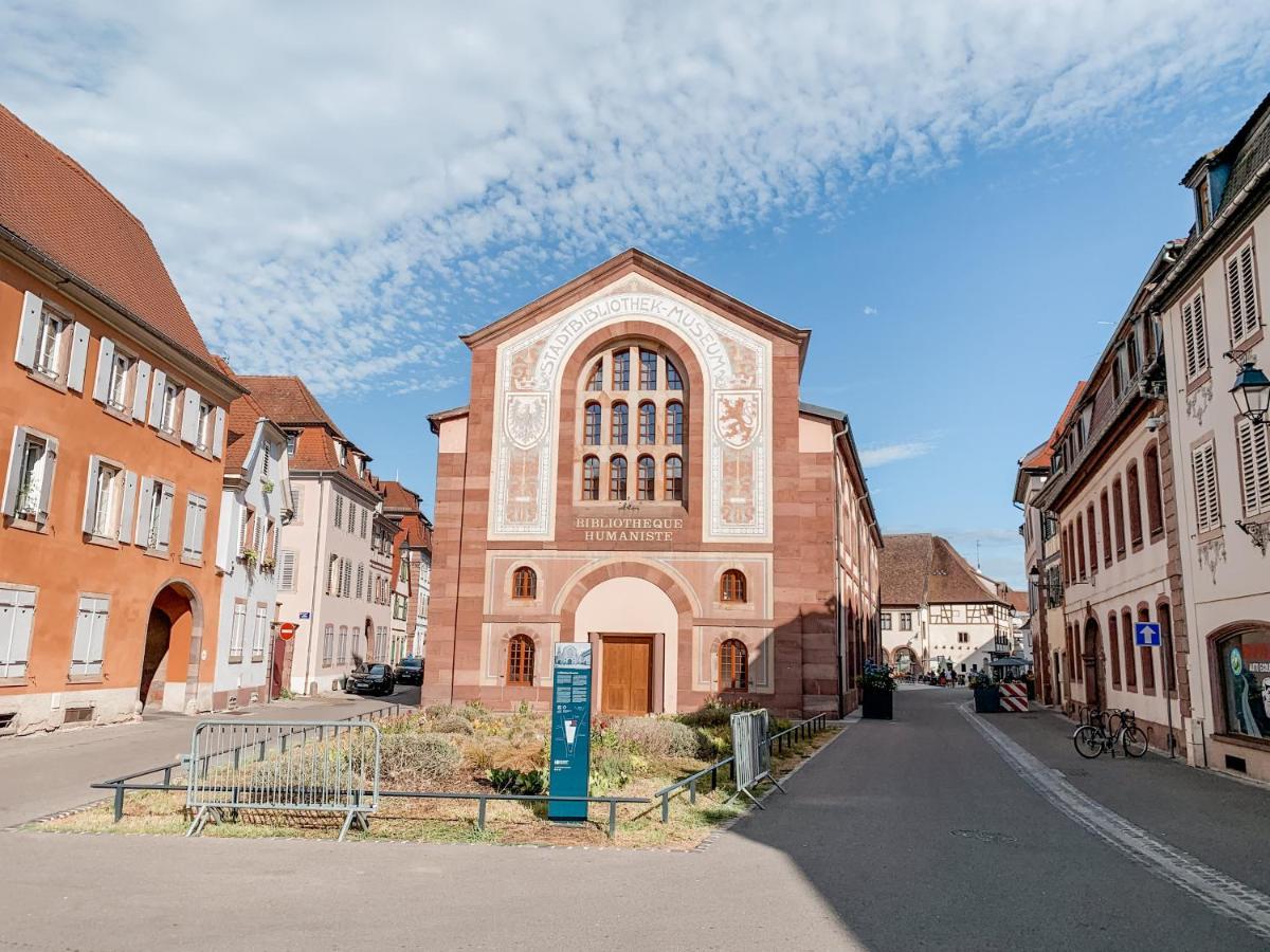 Le Nid Cosy - En Plein Coeur De Selestat Apartment Екстериор снимка