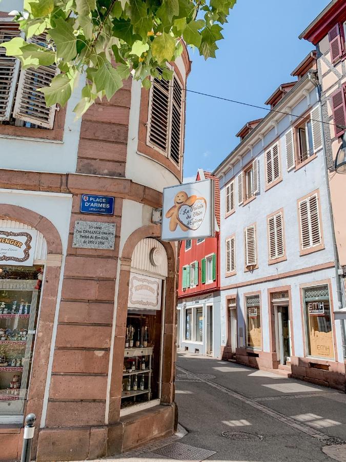 Le Nid Cosy - En Plein Coeur De Selestat Apartment Екстериор снимка
