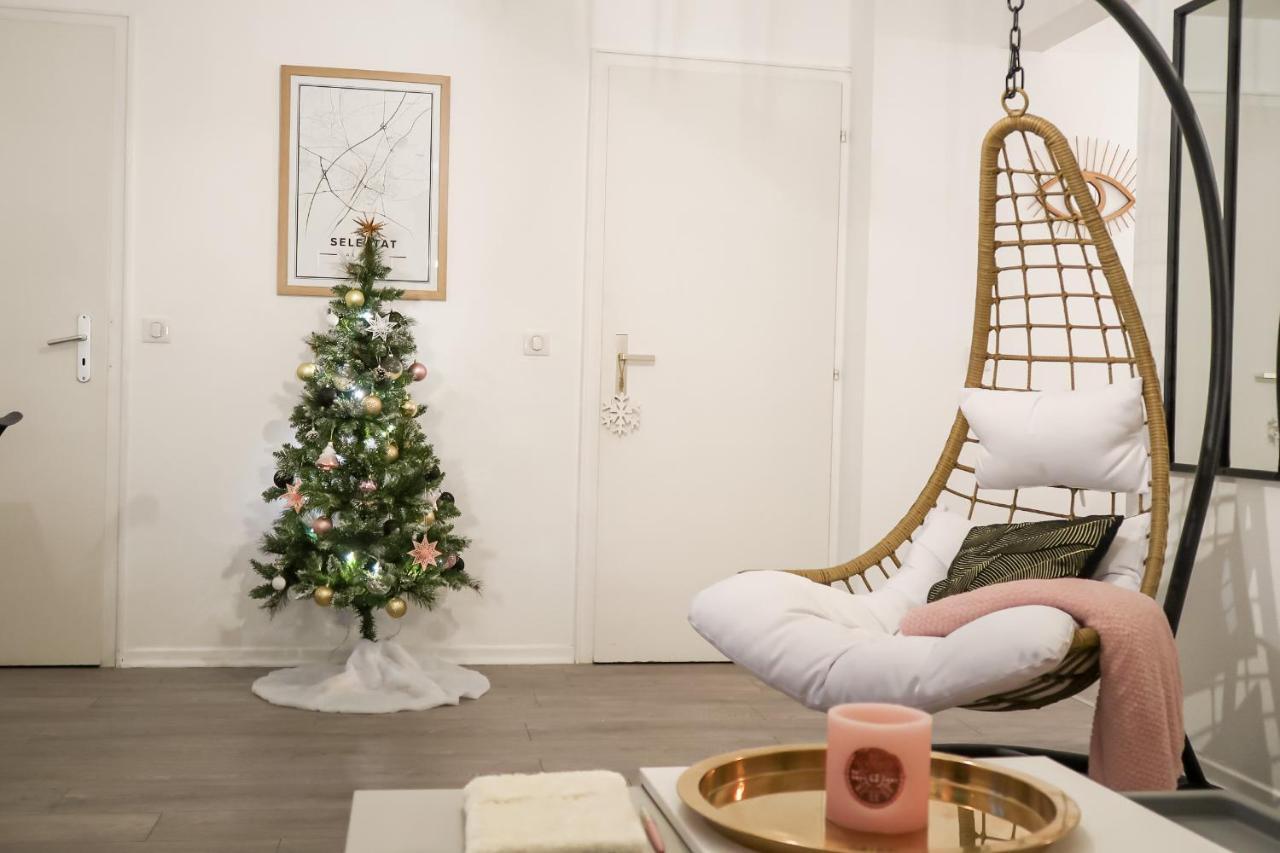 Le Nid Cosy - En Plein Coeur De Selestat Apartment Екстериор снимка