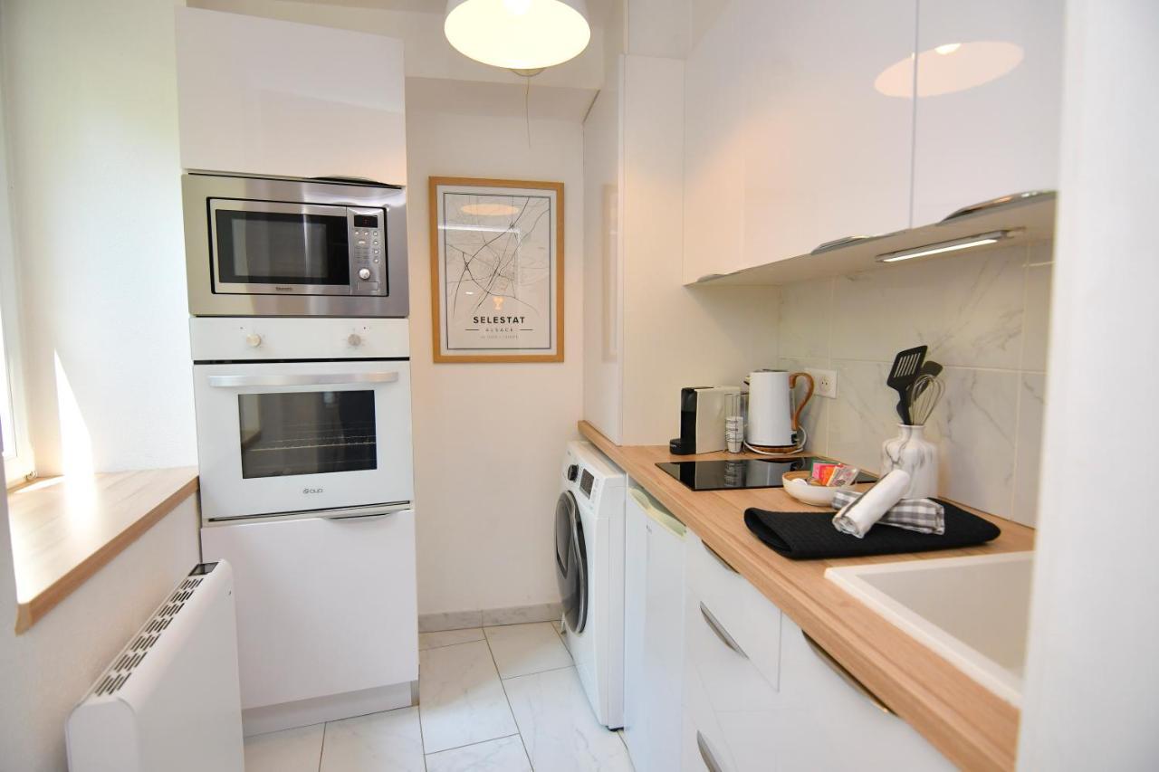 Le Nid Cosy - En Plein Coeur De Selestat Apartment Екстериор снимка